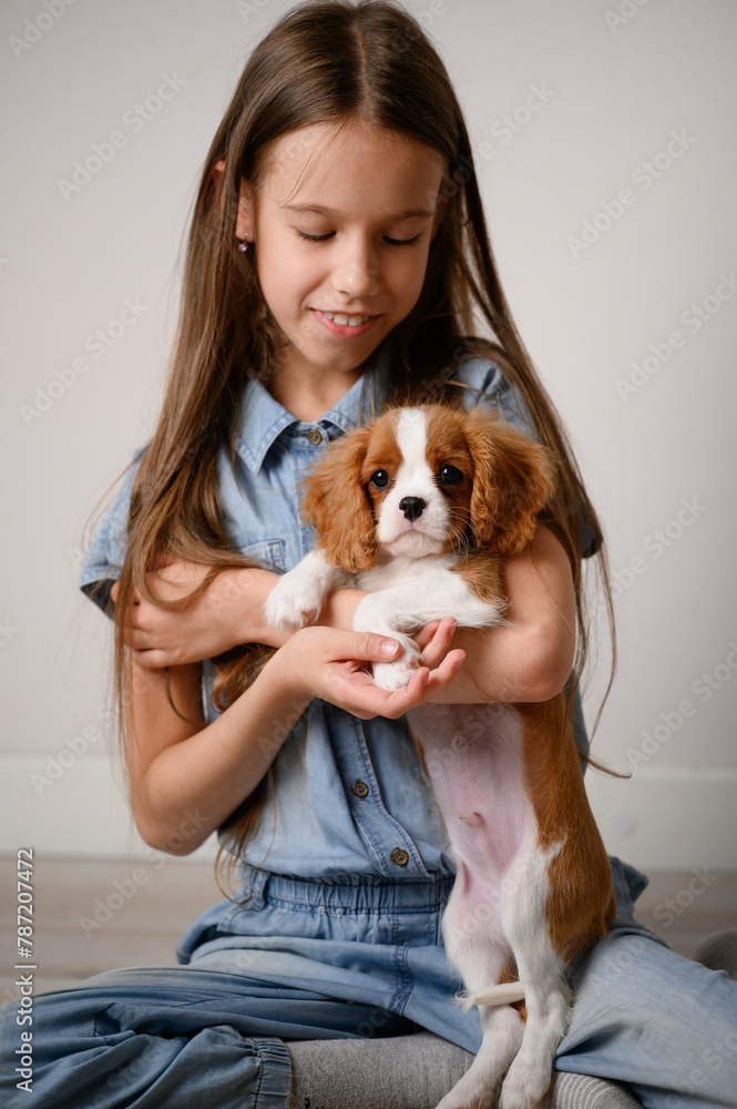 Happy girl holds cute Cavalier King Charles Spaniel puppy in her arms and looks at him with love. Taking care of your first pet, relaxing during holidays , friendship between child and dog. Vertical . Happy girl holds cute Cavalier King Charles Spaniel puppy in her arms and looks at him with love. Taking care of your first pet, relaxing during holidays , friendship between child and dog. Vertical .