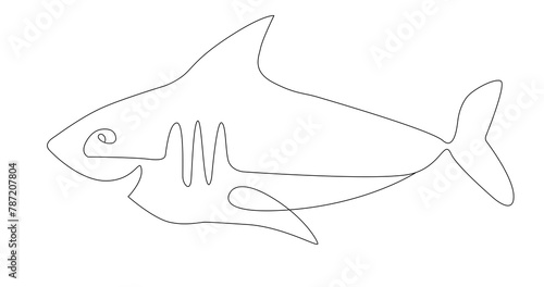 a shark, a predatory fish. graphic drawing. black and white outline image in pencil, line. background for the design.