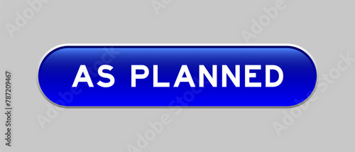 Blue color capsule shape button with word as planned on gray background