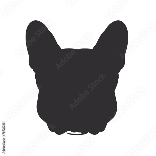 French Bulldog with sunglasses