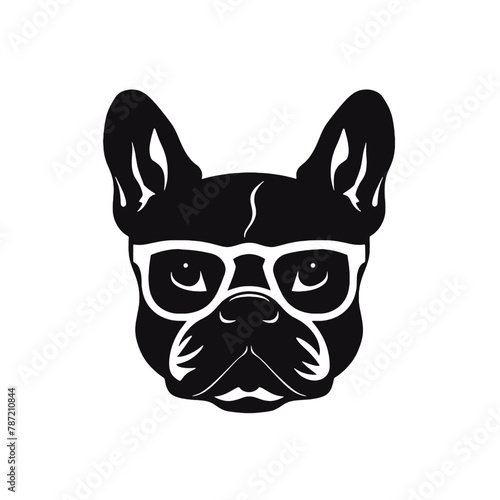 French Bulldog with sunglasses