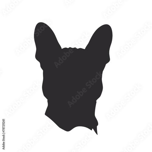French Bulldog with sunglasses