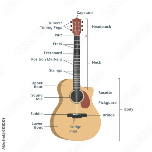 Parts of an acoustic guitar chart vector illustration. Guitar anatomy infographic. Guitar parts. Headstock, neck, fretboard, frets, strings, tuning pegs, sound hole, pickguard. Guitar vector design