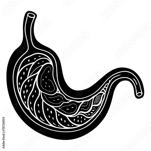 Stomach High-Quality Vector Illustration on White Background