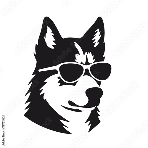 Husky banner template. Siberian Husky head on white background. Husky dog