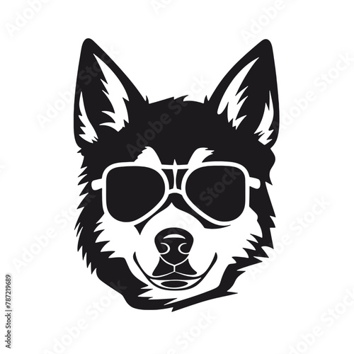 Husky banner template. Siberian Husky head on white background. Husky dog