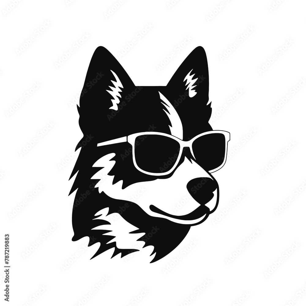 Husky banner template. Siberian Husky head on white background. Husky dog Husky banner template. Siberian Husky head on white background. Husky dog