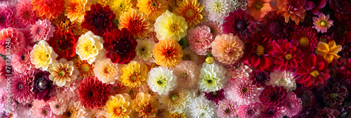 An Enchanting Spectrum of Odorless Floral Majesty: Varied Colors & Symmetric Perfection photo