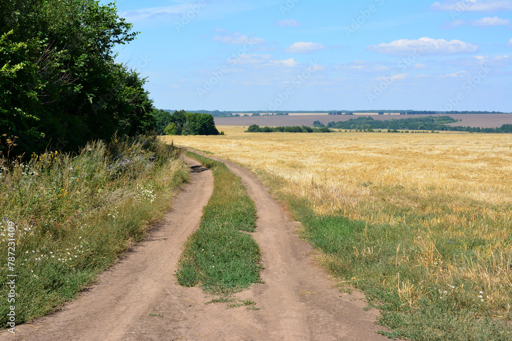 a dirt road is leading to a field with a forest and blue sky a dirt road is leading to a field with a forest and blue sky