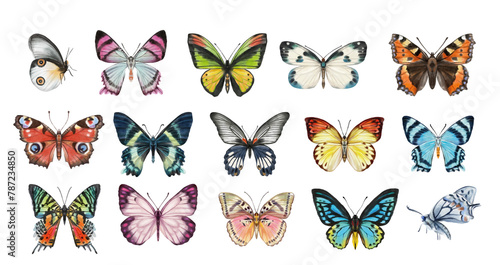 Watercolor colorful butterflies, isolated on white background. blue, yellow, pink and red butterfly 