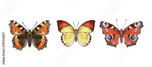 Watercolor colorful butterflies, isolated on white background. blue, yellow, pink and red butterfly  © Мария