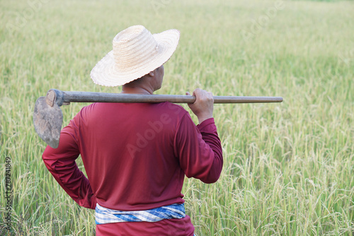 Back view of Asian man farmer carry a hoe on shoulder at paddy field. Concept  agriculture  organic farming. No chemical. Using traditional manual tool in stead of use herbicide. Zero pollution.      