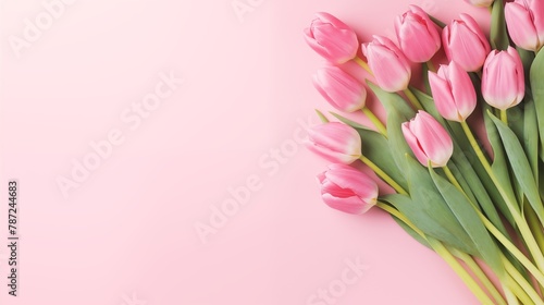 Elegant Bouquet of Pink Tulips on a Soft Pink Background