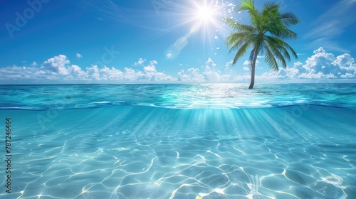 Seabed with blue tropical ocean, sunny blue sky and palm tree, empty underwater background, calm sea water. Summer beach © Ilmi