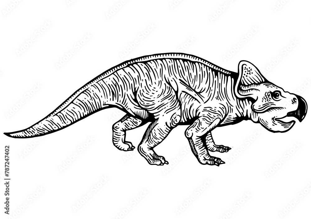 Protoceratops dinosaur prehistoric extinct animal engraving PNG illustration. Scratch board style imitation. Black and white hand drawn image. Protoceratops dinosaur prehistoric extinct animal engraving PNG illustration. Scratch board style imitation. Black and white hand drawn image.