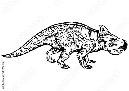 Protoceratops dinosaur prehistoric extinct animal engraving PNG illustration. Scratch board style imitation. Black and white hand drawn image. © Oleksandr Pokusai