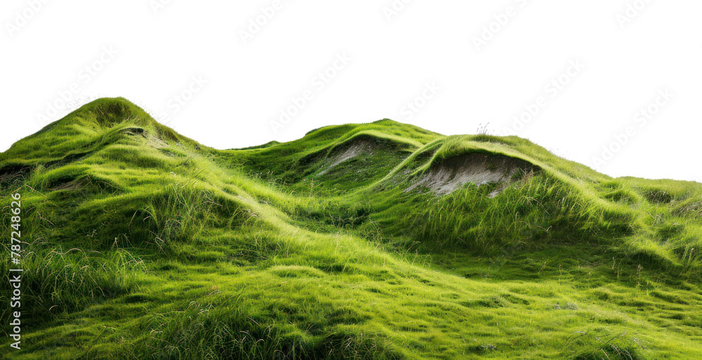 PNG Hill border nature plant green PNG Hill border nature plant green