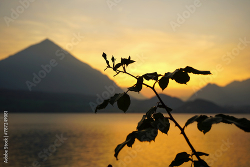 Sonnenuntergang über dem Thunersee mit Niesen