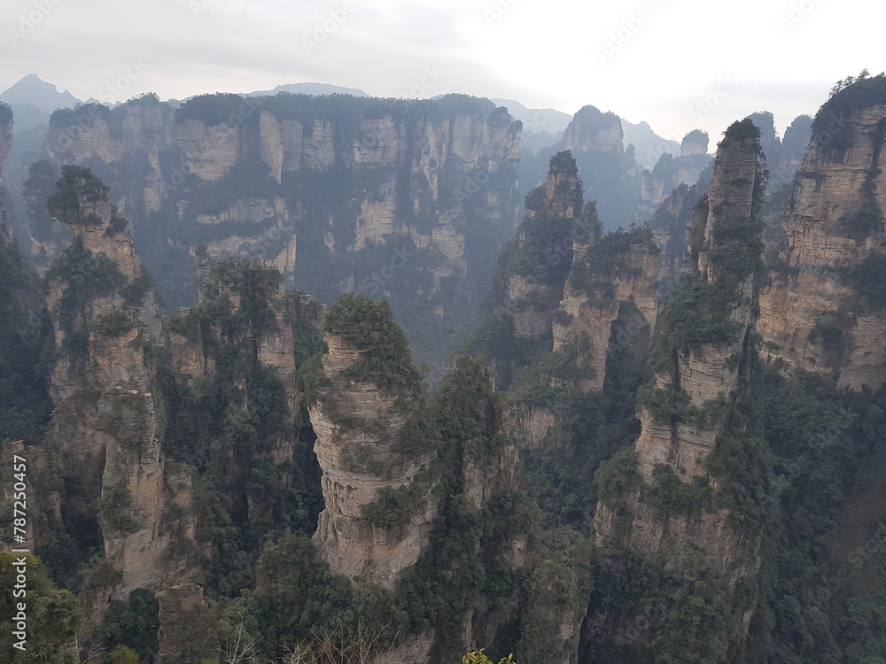 landscape with trees in jangjiaji trip