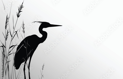 Heron bird stands in the thickets of reeds. Silhouette vector illustration.