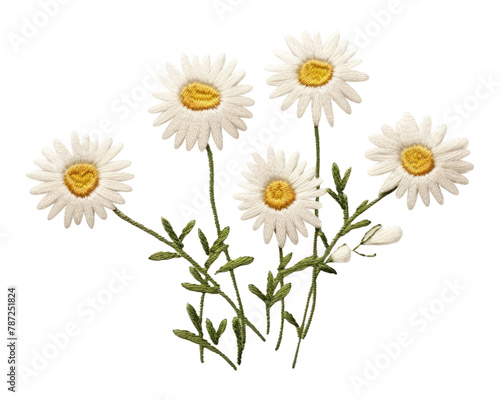 PNG Daisy embroidery flower plant.