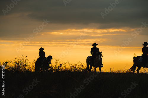 cowboys and horses against the backdrop of breathtaking sunsets. Explore captivating silhouettes that embody the spirit of the Wild West and the beauty of nature