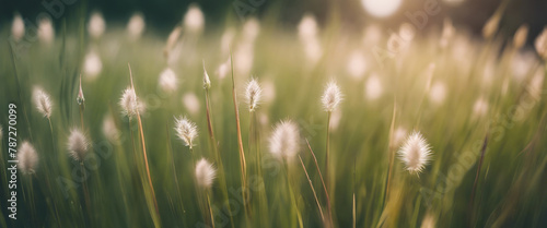 First spring april blue sleep grass flowers.Illustration.