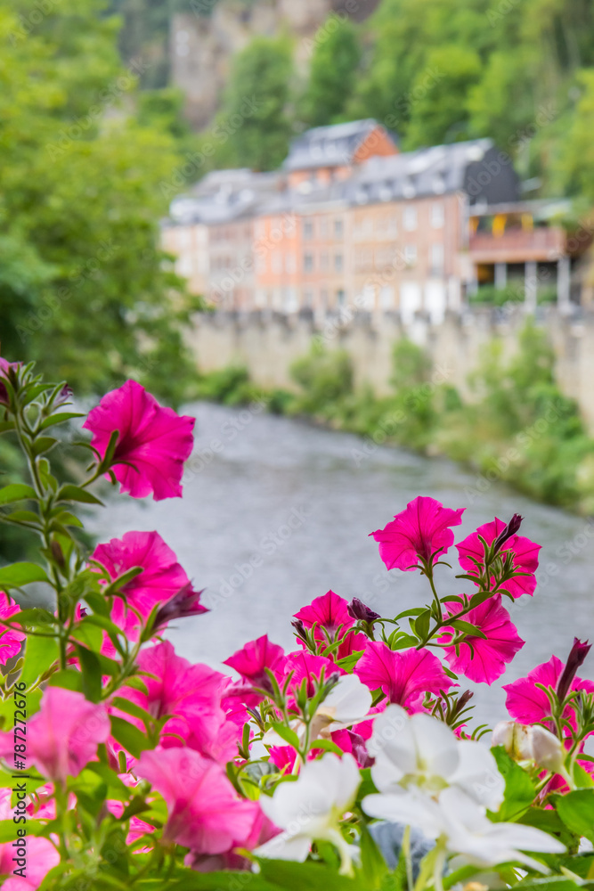 Colorful flowers on the bridge over the river Ourthe in La Roche-en-Ardenne, Belgium