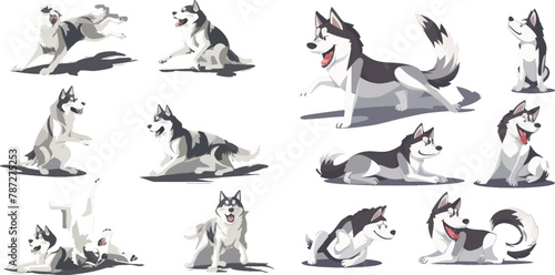 Active huskies animal characters. Siberian husky pedigree puppy dog