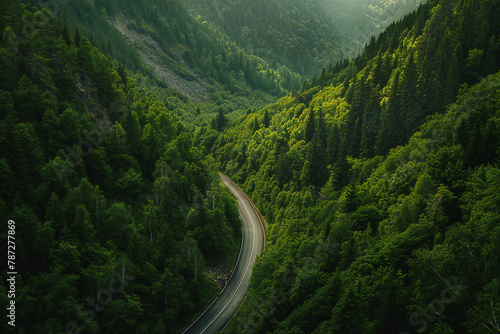 A winding road, amidst forest scenery and mountains