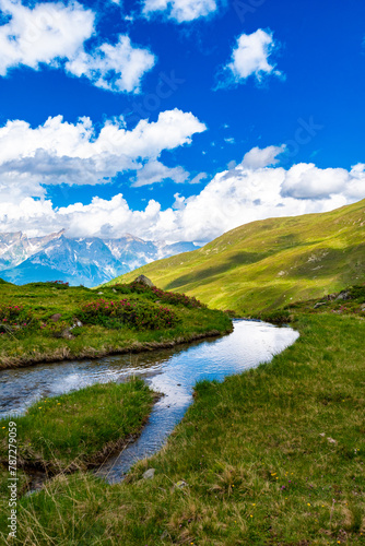 Tranquil Mountain Stream Amidst Alpine Landscape with Green Meadows © Franziska Brueckmann