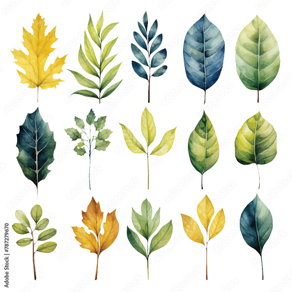 set of leaves set of leaves