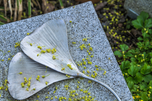 Relief Ginkgoblatt aus Metall auf Granitblock mit abgefallenen Blüten
 photo