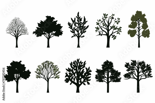 Silhouette tree set. Side view  set of graphic trees elements outline symbol for architecture and landscape design drawing. Vector illustration