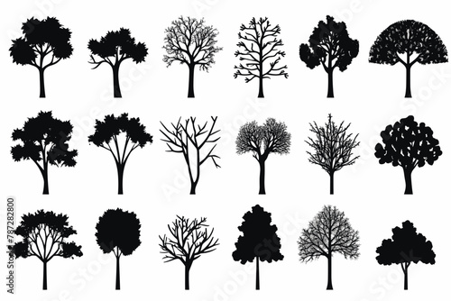 Silhouette tree set. Side view  set of graphic trees elements outline symbol for architecture and landscape design drawing. Vector illustration