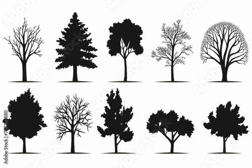 Silhouette tree set. Side view  set of graphic trees elements outline symbol for architecture and landscape design drawing. Vector illustration