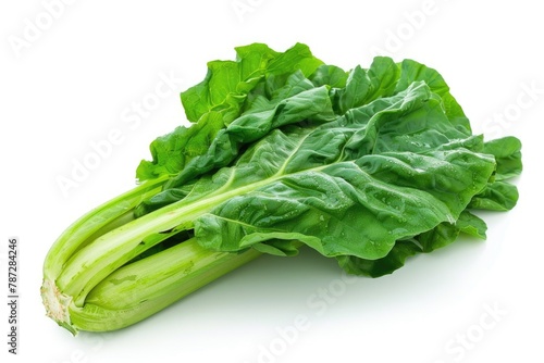 Fresh Green Chard Leaf for Healthy and Nutritious Food. Isolated on White Background