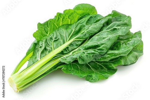 Fresh Green Chard Leaves Isolated on White Background for Salads and More - Healthy Vegetable and Delicious Leafy Green