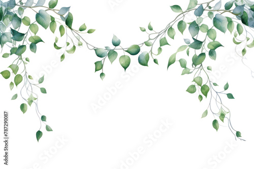 PNG Pattern plant leaf backgrounds photo