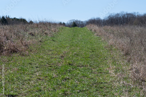 early spring weather copy space outdoor background, hiking woodland activities