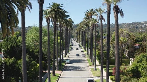 Aerial cinematic shot of beautiful lush palm trees in Beverly Hills California