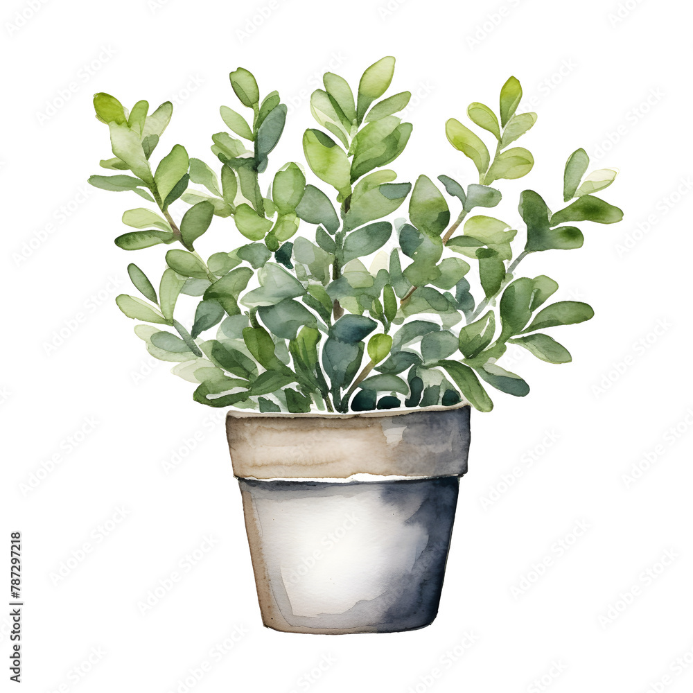 bush watercolor style, illustration. bush watercolor style, illustration.