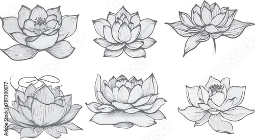 "Whimsical Hand-Drawn Style Lotus Flowers: Creative Floral Vector Set"