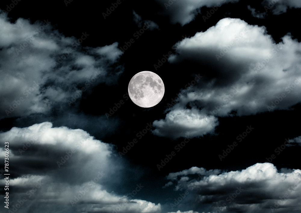 The moon in the night sky