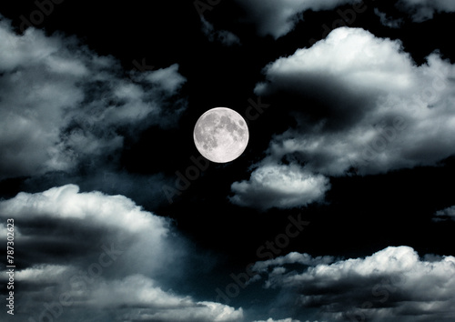 Obraz na płótnie The moon in the night sky w salonie