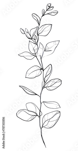 PNG Line art body drawing sketch plant