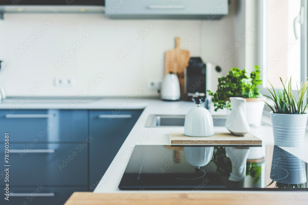 Modern interior of kitchen in the apartment with furniture, stove and indoor plants. Modern interior of kitchen in the apartment with furniture, stove and indoor plants.