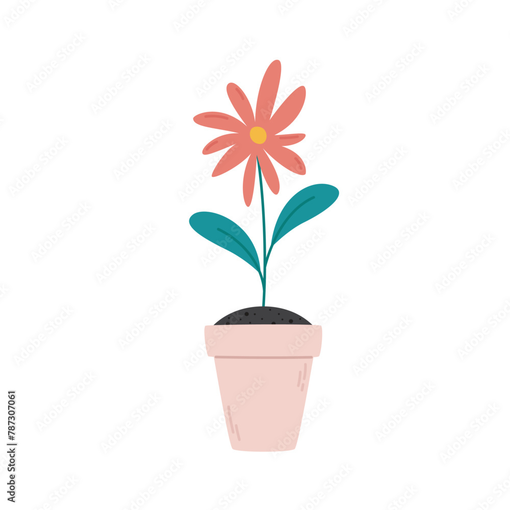 Blooming flower in a pot. Flat vector illustration of a houseplant isolated on white background Blooming flower in a pot. Flat vector illustration of a houseplant isolated on white background