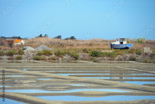 Obraz na płótnie Salzgärten auf der Ile de Noirmoutier w salonie