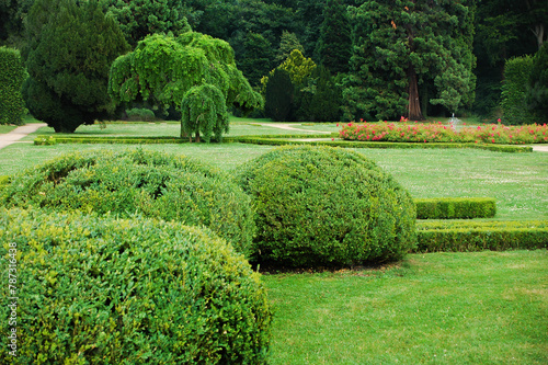 Manicured Garden Hedges in a Lush Green Park